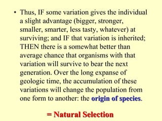• Thus, IF some variation gives the individual
a slight advantage (bigger, stronger,
smaller, smarter, less tasty, whatever) at
surviving; and IF that variation is inherited;
THEN there is a somewhat better than
average chance that organisms with that
variation will survive to bear the next
generation. Over the long expanse of
geologic time, the accumulation of these
variations will change the population from
one form to another: the origin of species.
= Natural Selection
 
