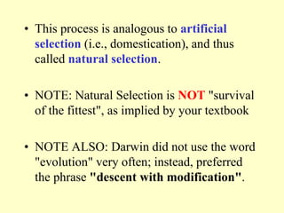 • This process is analogous to artificial
selection (i.e., domestication), and thus
called natural selection.
• NOTE: Natural Selection is NOT "survival
of the fittest", as implied by your textbook
• NOTE ALSO: Darwin did not use the word
"evolution" very often; instead, preferred
the phrase "descent with modification".
 
