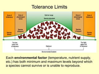 Tolerance Limits
Each environmental factor (temperature, nutrient supply,
etc.) has both minimum and maximum levels beyond which
a species cannot survive or is unable to reproduce.
 