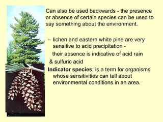 • Can also be used backwards - the presence
or absence of certain species can be used to
say something about the environment.
– lichen and eastern white pine are very
sensitive to acid precipitation -
their absence is indicative of acid rain
& sulfuric acid
Indicator species: is a term for organisms
whose sensitivities can tell about
environmental conditions in an area.
 