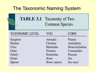 The Taxonomic Naming System
 