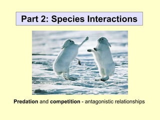 Part 2: Species Interactions
Predation and competition - antagonistic relationships
 