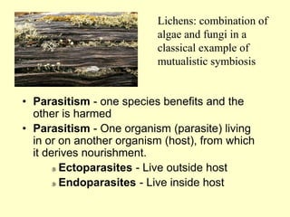 • Parasitism - one species benefits and the
other is harmed
• Parasitism - One organism (parasite) living
in or on another organism (host), from which
it derives nourishment.
 Ectoparasites - Live outside host
 Endoparasites - Live inside host
Lichens: combination of
algae and fungi in a
classical example of
mutualistic symbiosis
 
