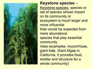 Keystone species –
Keystone species: species or
set of species whose impact
on its community or
ecosystem is much larger and
more influential
than would be expected from
mere abundance.
species that play essential
community
roles (examples: mycorrhizae,
giant kelp, Giant Algae in
California, it provides food,
shelter and structure for a
whole community)
 