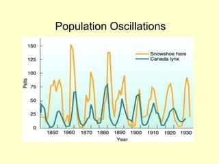 Population Oscillations
 