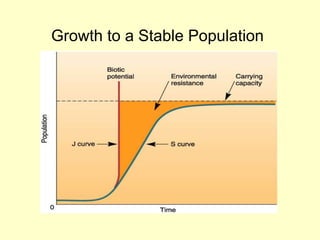 Growth to a Stable Population
 
