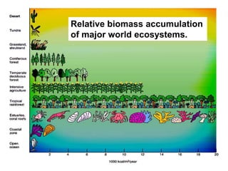 Relative biomass accumulation
of major world ecosystems.
 