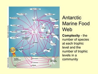 Antarctic
Marine Food
Web
Complexity - the
number of species
at each trophic
level and the
number of trophic
levels in a
community
 