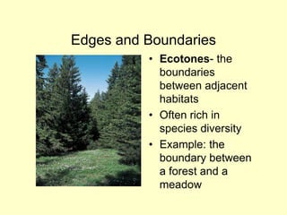 Edges and Boundaries
• Ecotones- the
boundaries
between adjacent
habitats
• Often rich in
species diversity
• Example: the
boundary between
a forest and a
meadow
 