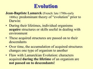 Evolution
Jean-Baptiste Lamarck (French: late 1700s-early
1800s): predominant theory of “evolution” prior to
Darwin:
• During their lifetimes, individual organisms
acquire structures or skills useful in dealing with
environment
• These acquired structures are passed on to their
descendants
• Over time, the accumulation of acquired structures
changes one type of organism to another
• Flaw with Lamarckian Evolution: characters
acquired during the lifetime of an organism are
not passed on to descendants!
 