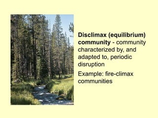 Disclimax (equilibrium)
community - community
characterized by, and
adapted to, periodic
disruption
Example: fire-climax
communities
 