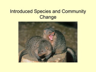 Introduced Species and Community
Change
 