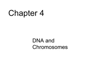 Chapter 4


     • DNA and
       Chromosomes
 