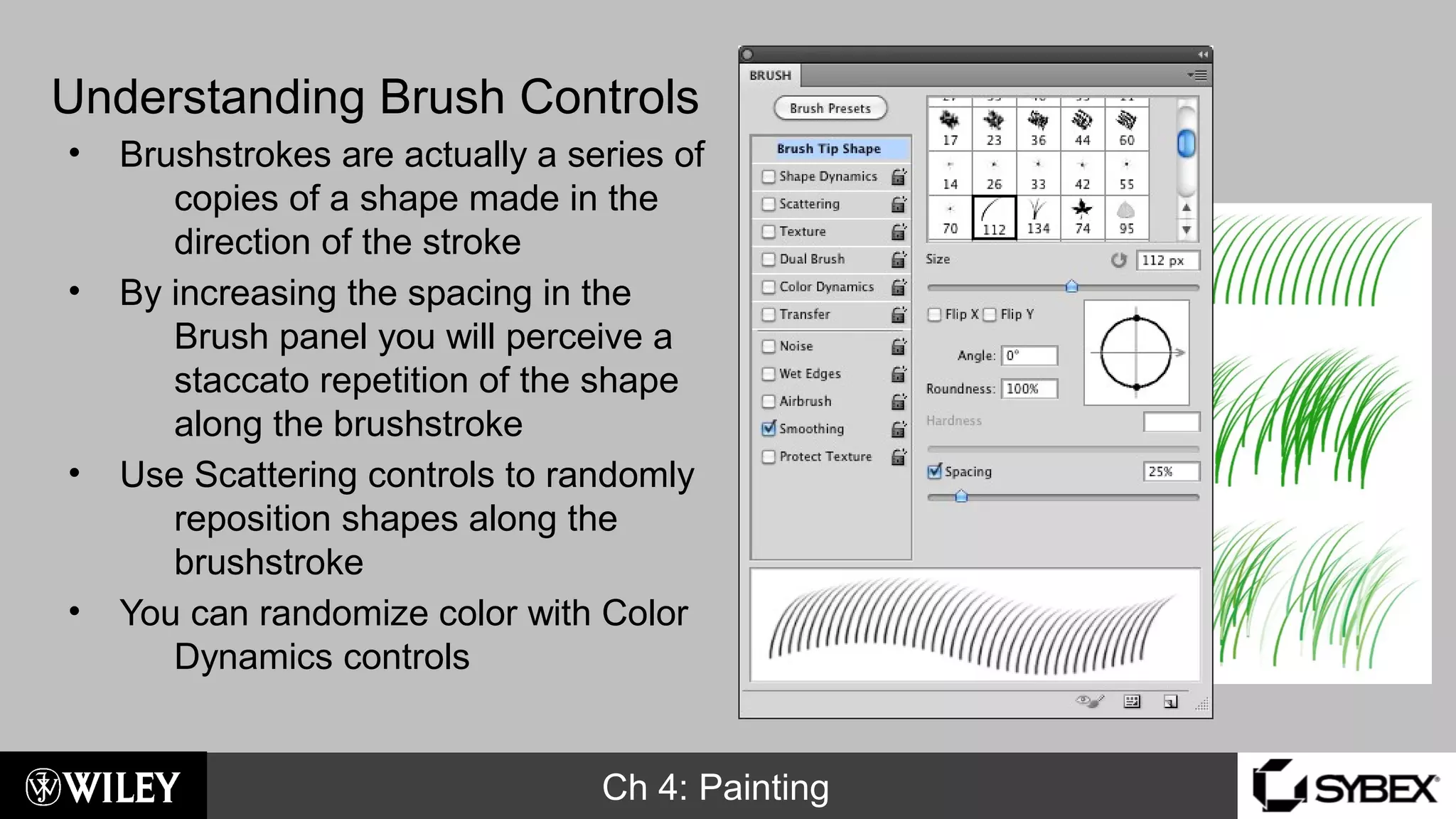 Ch 4: Painting
Understanding Brush Controls
• Brushstrokes are actually a series of
copies of a shape made in the
direction of the stroke
• By increasing the spacing in the
Brush panel you will perceive a
staccato repetition of the shape
along the brushstroke
• Use Scattering controls to randomly
reposition shapes along the
brushstroke
• You can randomize color with Color
Dynamics controls
 