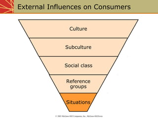 External Influences on Consumers 
Culture 
Subculture 
Social class 
Reference 
groups 
Situations 
© 2003 McGraw-Hill Companies, Inc., McGraw-Hill/Irwin 
 