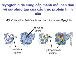Chapter 04 - 3D Structure of Proteins.pptx