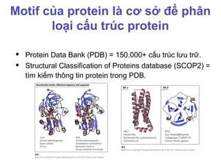 Chapter 04 - 3D Structure of Proteins.pptx