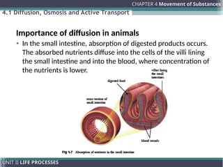 Chapter 04 - Movement of substances (1).ppt
