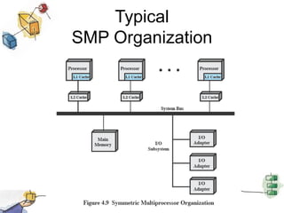 TypicalSMP Organization