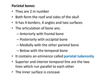 Parallel Medium Bone Chapter 04 - Osseous Systefsdm - Copy.pdf