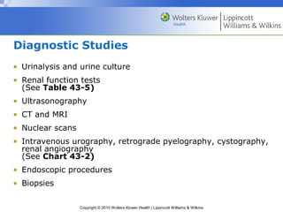 ASSESSMENT OF RENAL AND URINARY TRACT INFECTION | PPT