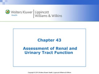 Chapter 43

Assessment of Renal and
 Urinary Tract Function



  Copyright © 2010 Wolters Kluwer Health | Lippincott Williams & Wilkins
 