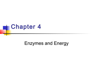 Chapter 4
Enzymes and Energy
 
