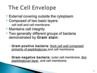 Chapter04 lecture introduction to cells(microbiology) | PPT