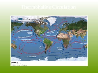 Thermohaline Circulation
 