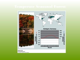 Temperate Seasonal Forest
 