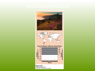 Woodland/Shrubland
 