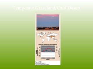Temperate Grassland/Cold Desert
 