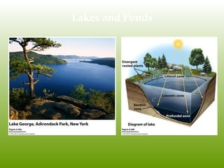Lakes and Ponds
 