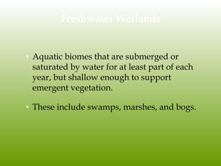Freshwater Wetlands
• Aquatic biomes that are submerged or
saturated by water for at least part of each
year, but shallow enough to support
emergent vegetation.
• These include swamps, marshes, and bogs.
 