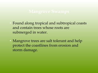 Mangrove Swamps
• Found along tropical and subtropical coasts
and contain trees whose roots are
submerged in water.
• Mangrove trees are salt tolerant and help
protect the coastlines from erosion and
storm damage.
 