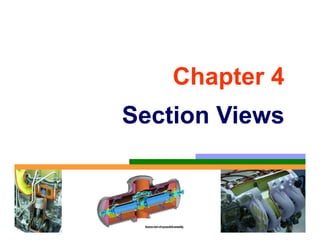 Chapter 4Chapter 4
S ti ViSection Views
 
