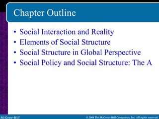 Chapter Outline Social Interaction and Reality Elements of Social Structure Social Structure in Global Perspective Social Policy and Social Structure: The AIDS Crisis 