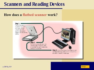 Scanners and Reading Devices How does a   flatbed scanner   work? p. 256 Fig. 5-31 Next 