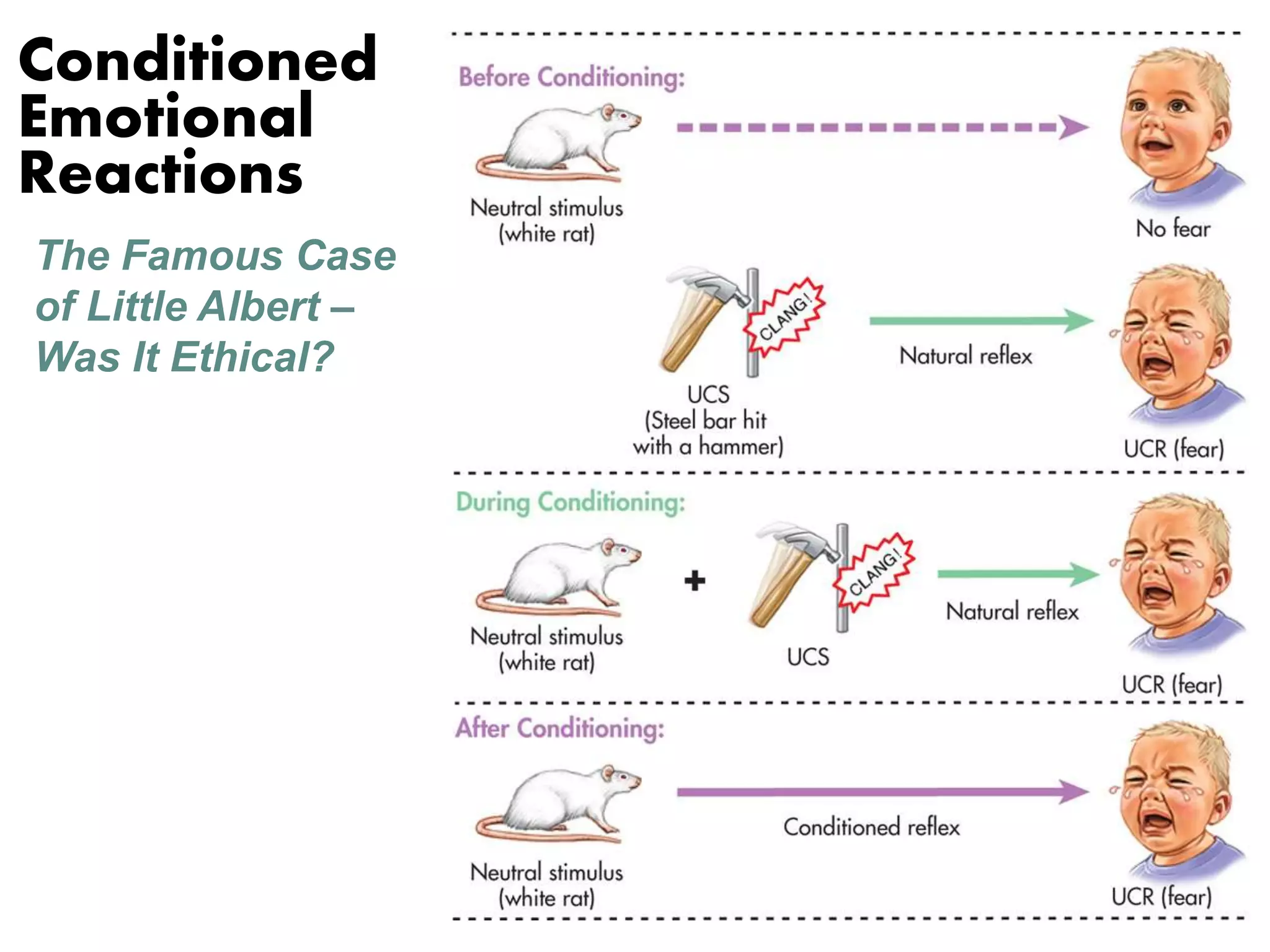 Conditioned 
Emotional 
Reactions 
The Famous Case 
of Little Albert – 
Was It Ethical? 
 