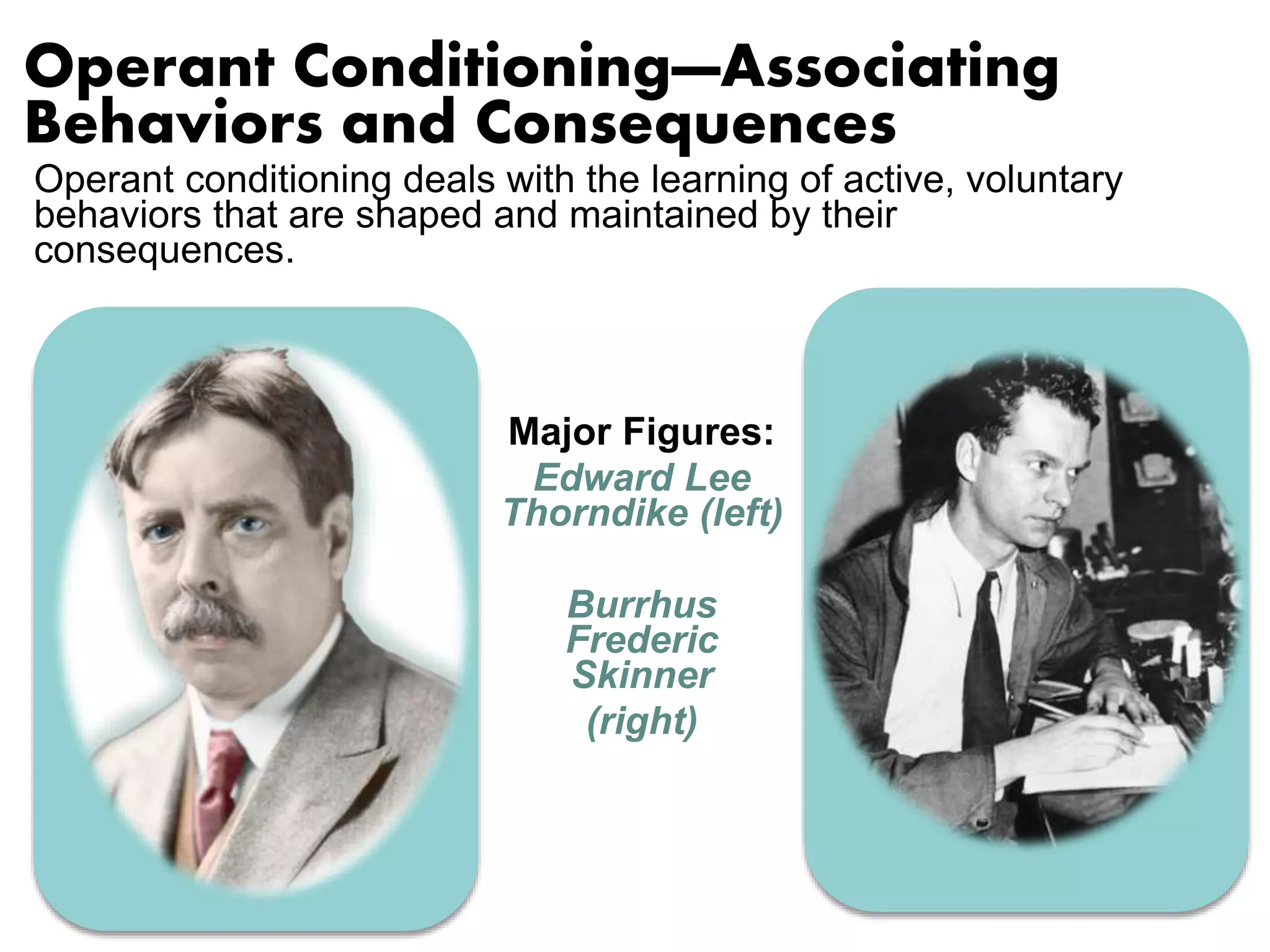 Operant Conditioning—Associating 
Behaviors and Consequences 
Operant conditioning deals with the learning of active, voluntary 
behaviors that are shaped and maintained by their 
consequences. 
Major Figures: 
Edward Lee 
Thorndike (left) 
Burrhus 
Frederic 
Skinner 
(right) 
 