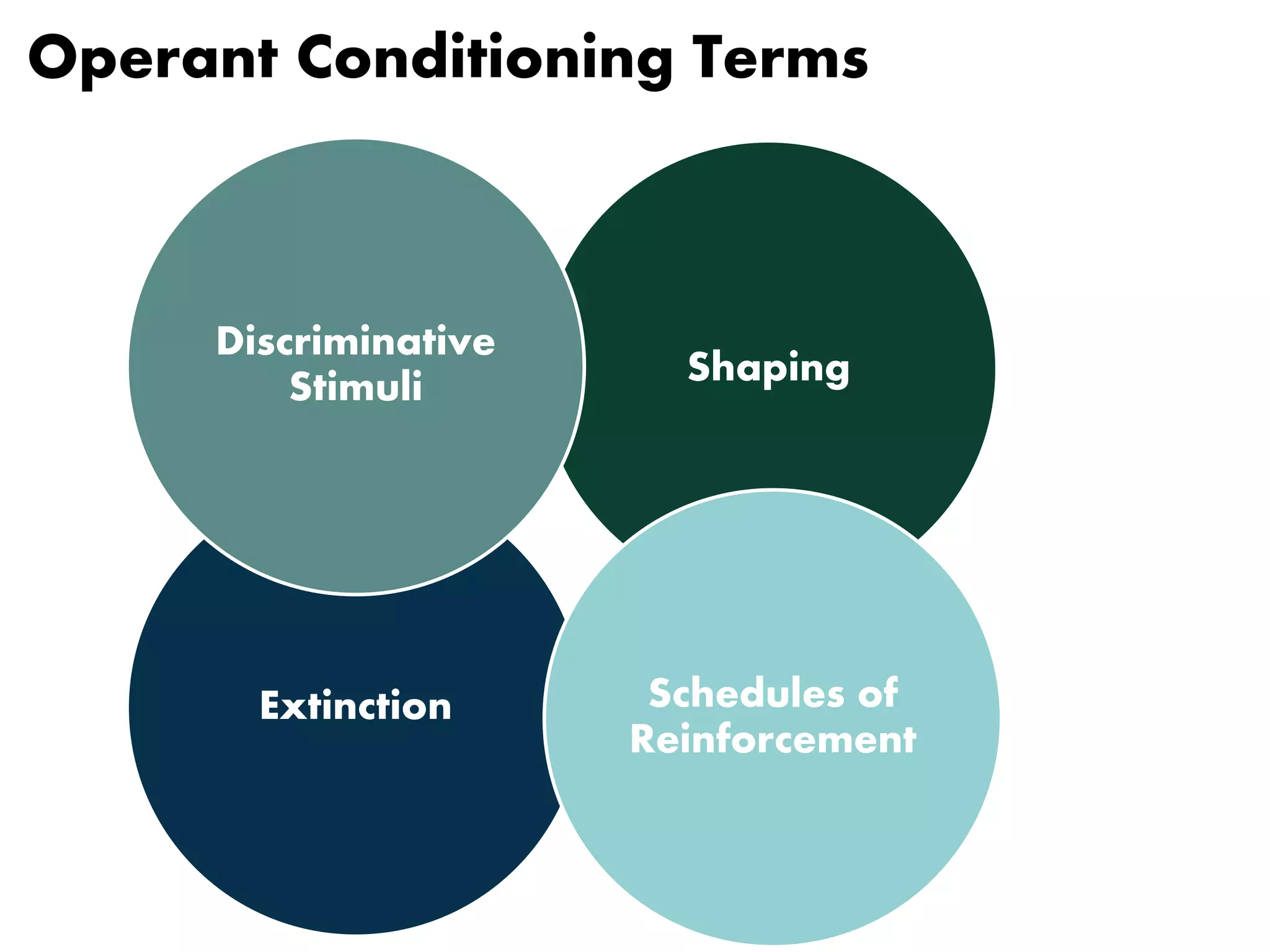 Operant Conditioning Terms 
Shaping 
Discriminative 
Stimuli 
Extinction 
Schedules of 
Reinforcement 
 