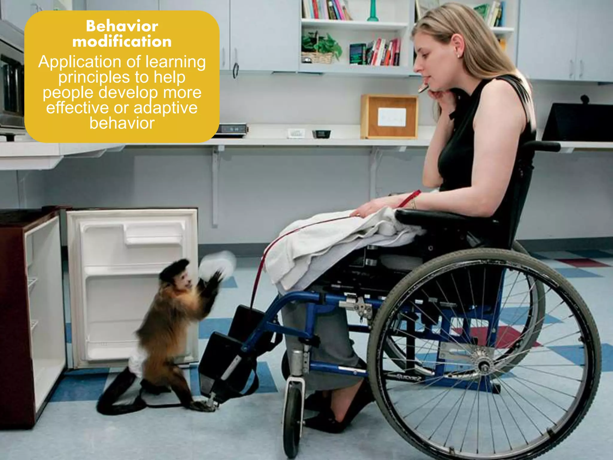 Behavior 
modification 
Application of learning 
principles to help 
people develop more 
effective or adaptive 
behavior 
 