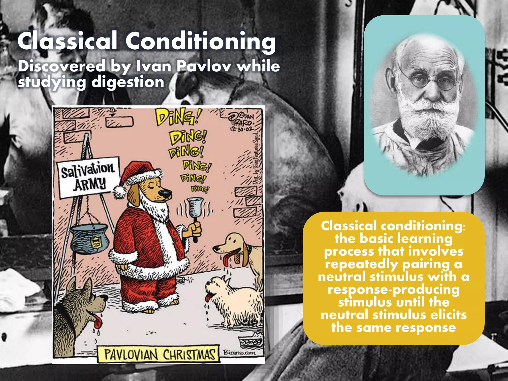 Classical Conditioning 
Discovered by Ivan Pavlov while 
studying digestion 
Classical conditioning: 
the basic learning 
process that involves 
repeatedly pairing a 
neutral stimulus with a 
response-producing 
stimulus until the 
neutral stimulus elicits 
the same response 
 