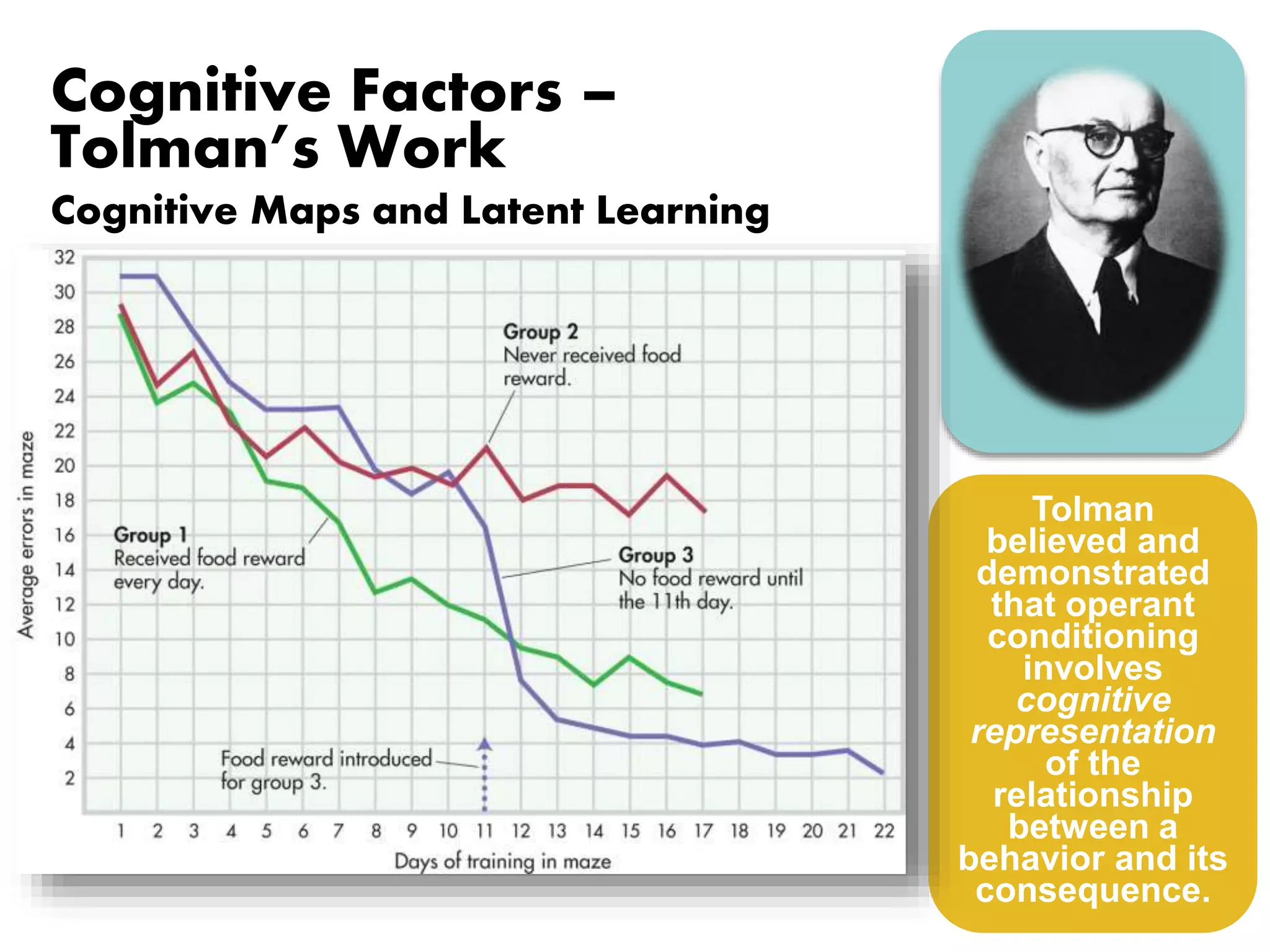 Cognitive Factors – 
Tolman’s Work 
Cognitive Maps and Latent Learning 
Demonstrated that animals learn a 
cognitive map of a maze instead of a series 
of responses. 
• Cognitive map—term for a mental 
representation of the layout of a familiar 
environment. 
• Latent learning—learning that occurs in 
the absence of reinforcement, but is not 
demonstrated until a reinforcer is 
available. 
Tolman 
believed and 
demonstrated 
that operant 
conditioning 
involves 
cognitive 
representation 
of the 
relationship 
between a 
behavior and its 
consequence. 
 