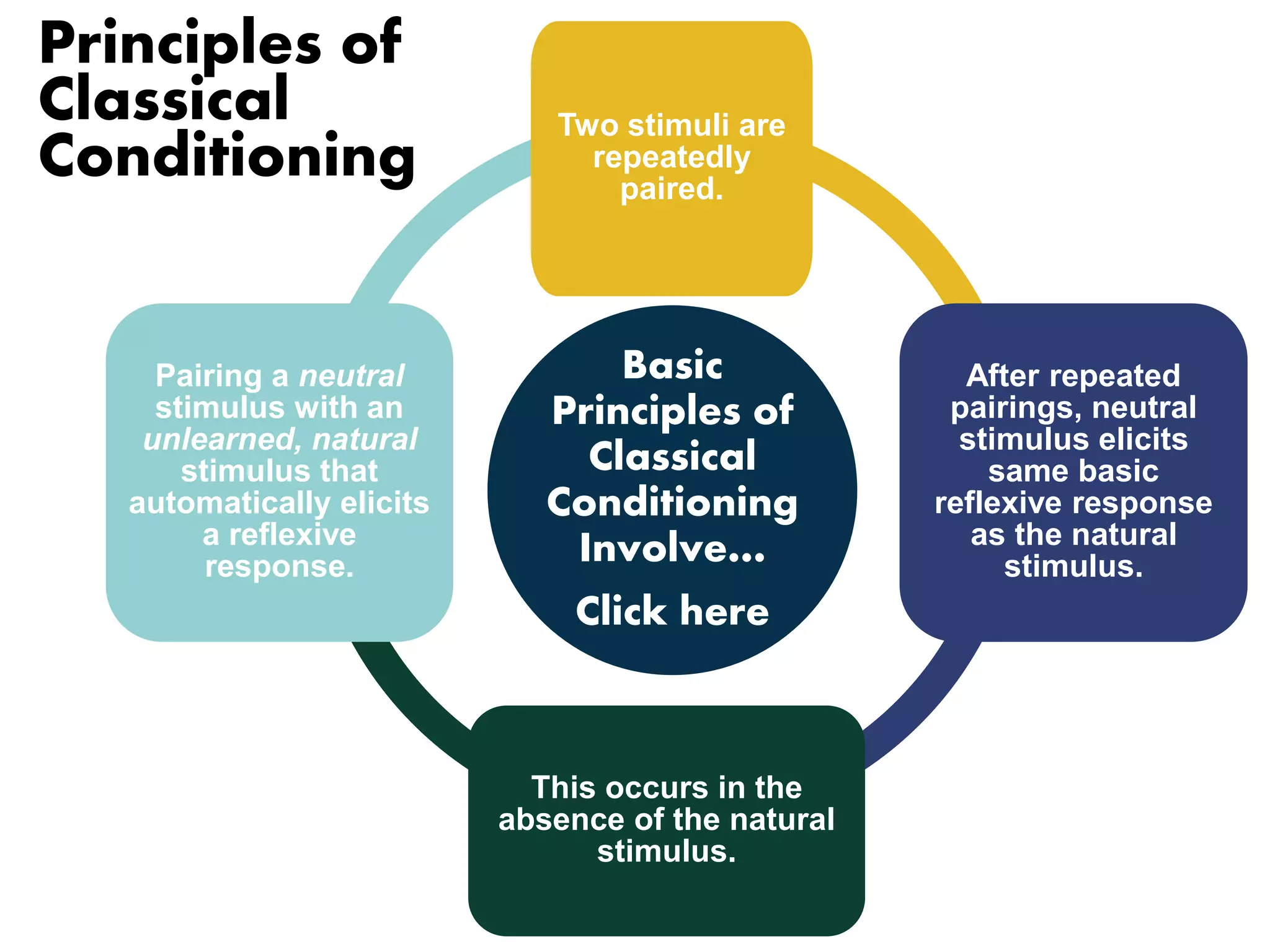 Principles of 
Classical 
Conditioning 
Two stimuli are 
repeatedly 
paired. 
Basic 
Principles of 
Classical 
Conditioning 
Involve… 
Click here 
After repeated 
pairings, neutral 
stimulus elicits 
same basic 
reflexive response 
as the natural 
stimulus. 
This occurs in the 
absence of the natural 
stimulus. 
Pairing a neutral 
stimulus with an 
unlearned, natural 
stimulus that 
automatically elicits 
a reflexive 
response. 
 