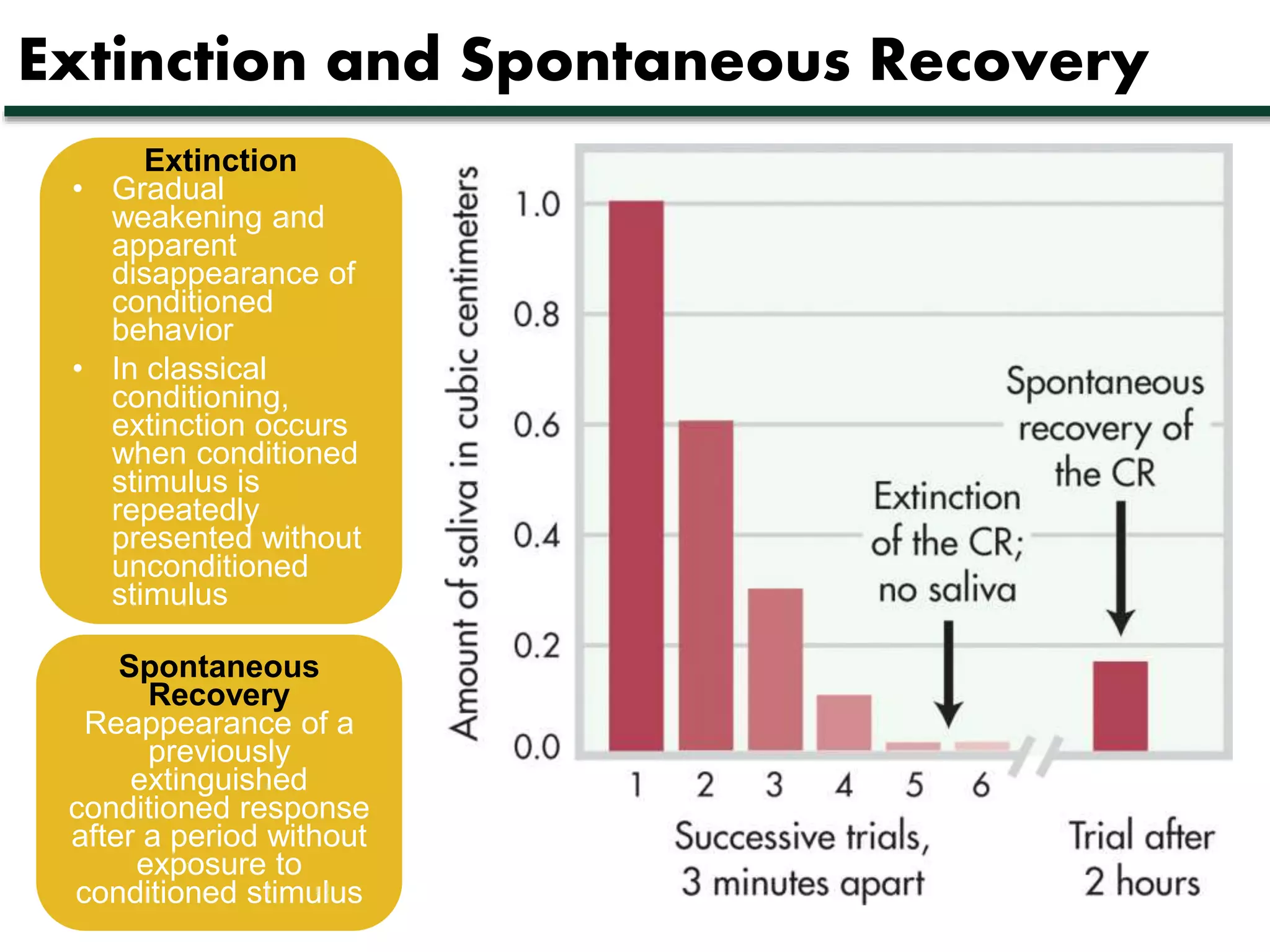 Extinction and Spontaneous Recovery 
Extinction 
• Gradual 
weakening and 
apparent 
disappearance of 
conditioned 
behavior 
• In classical 
conditioning, 
extinction occurs 
when conditioned 
stimulus is 
repeatedly 
presented without 
unconditioned 
stimulus 
Spontaneous 
Recovery 
Reappearance of a 
previously 
extinguished 
conditioned response 
after a period without 
exposure to 
conditioned stimulus 
 