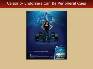 Celebrity Endorsers Can Be Peripheral Cues 
 