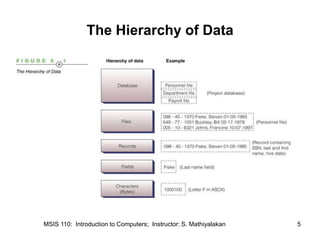 Chapter 5 - Organizing Data and Information | PPT