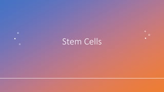 Stem Cells
 
