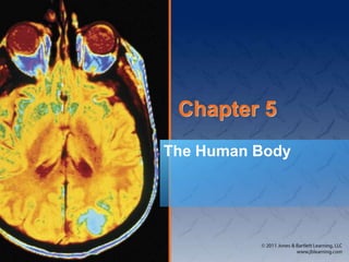 Chapter 5
The Human Body
 